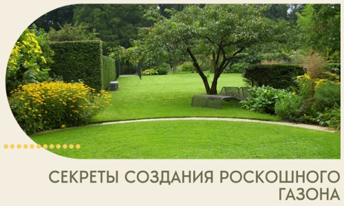 Секреты создания роскошного газона в Сосновоборске